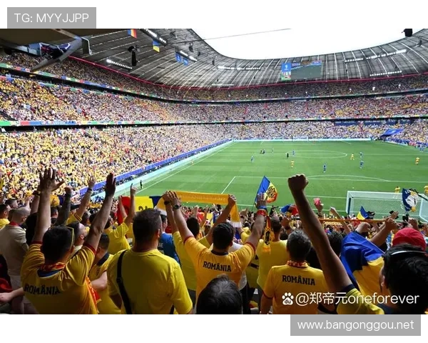 南海看欧洲杯（南海足球俱乐部）sports